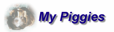 My Piggies Logo featuring Brewster
